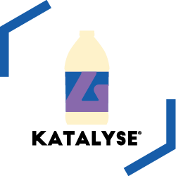 Katalyse